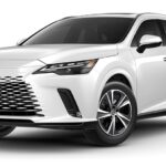 2024 Lexus RX