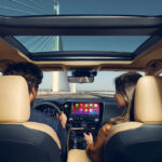 Lexus NX 450h+ with Passengers