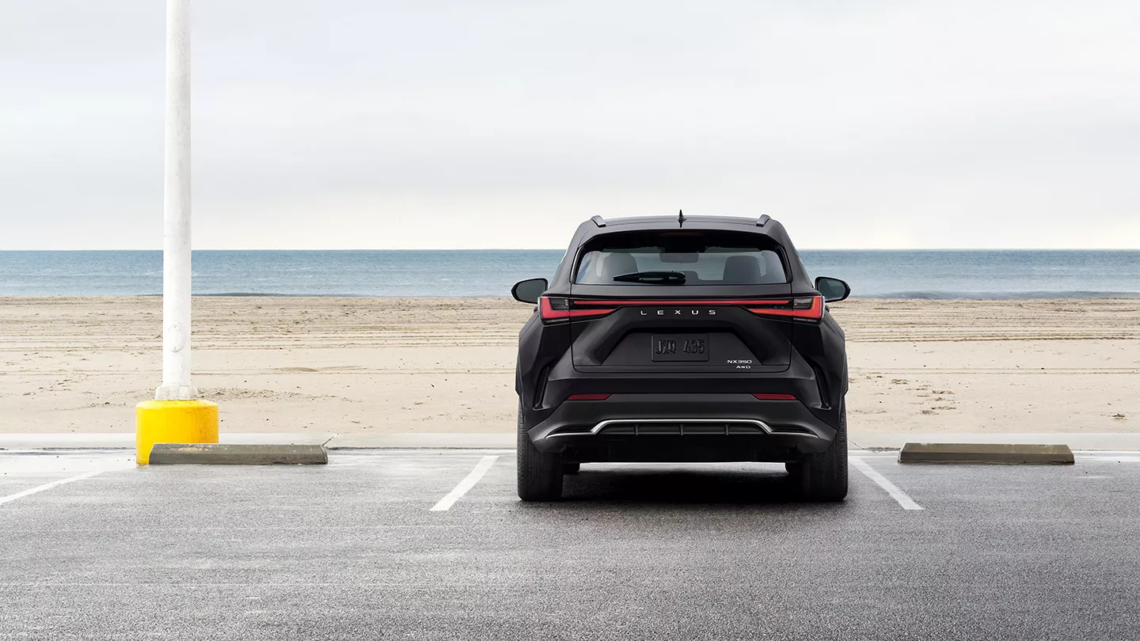 Rear view of a Lexus NX parked near a beach