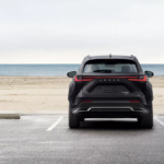Rear view of a Lexus NX parked near a beach